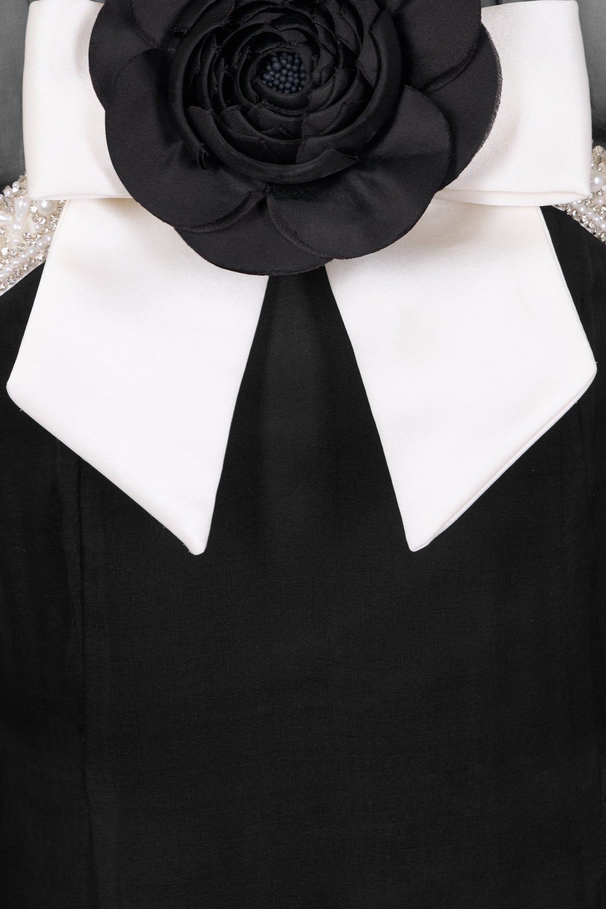 Runway Look 2 - Black Gown/ Chiffon Sleeve