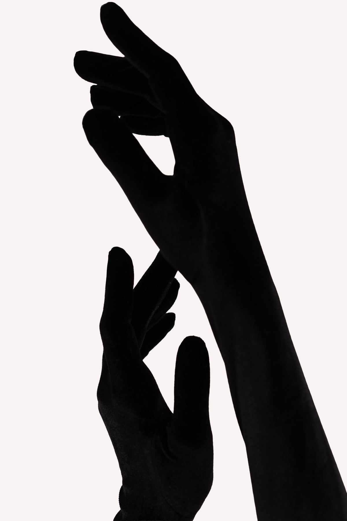 Black Velvet Gloves